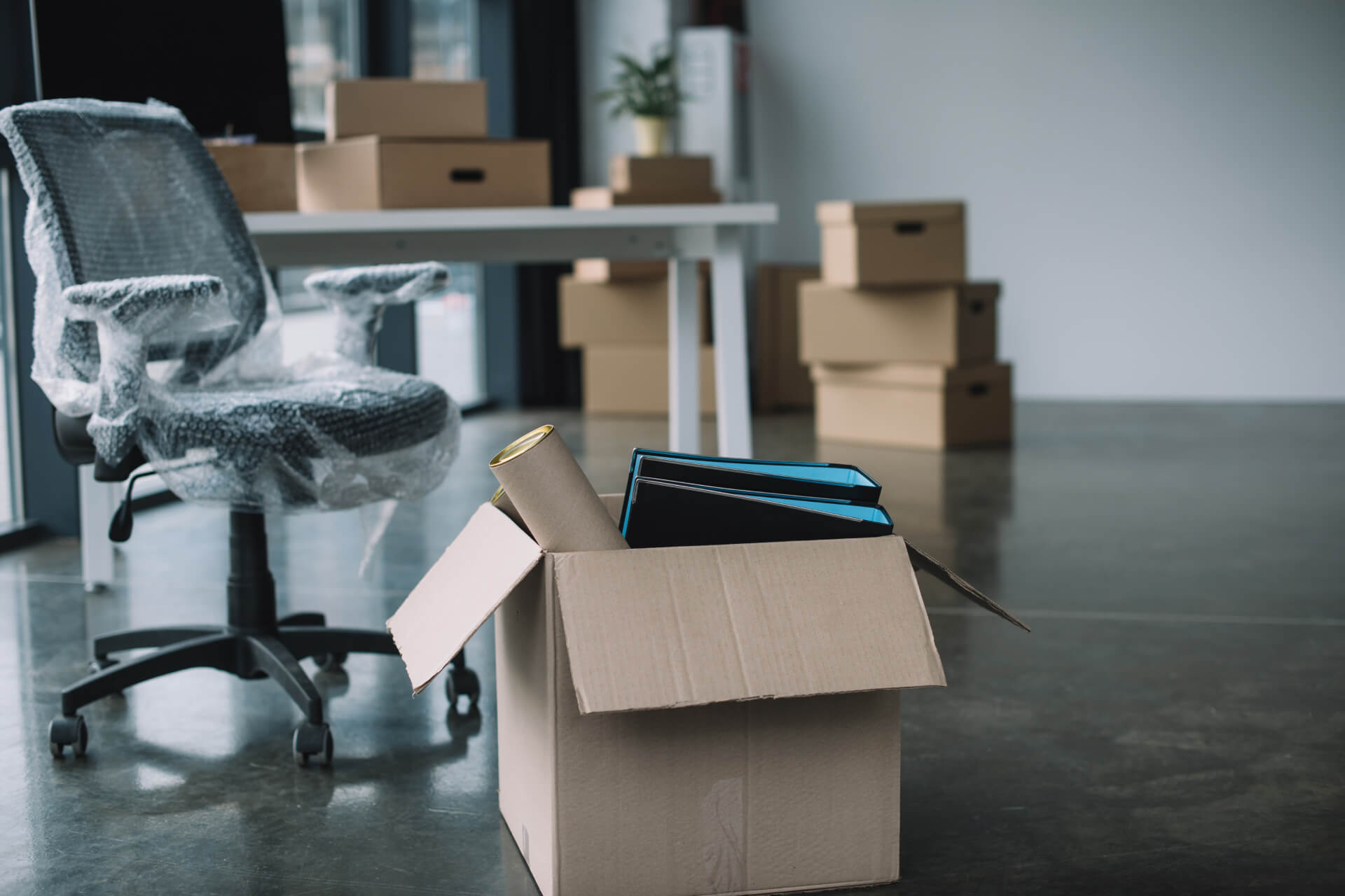 Вивіз сміття